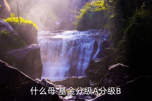 互聯(lián)網b母基金凈值,001542互聯(lián)網基金凈值