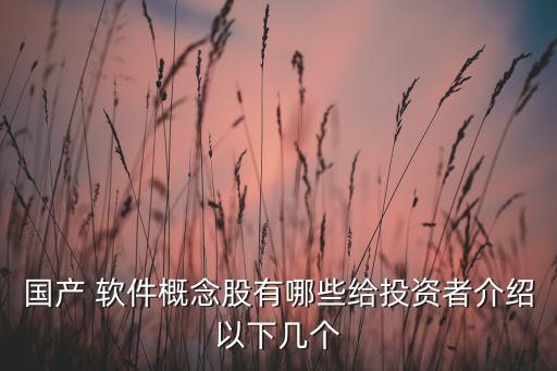 國產 軟件概念股有哪些給投資者介紹以下幾個