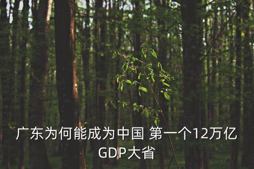 廣東為何能成為中國 第一個(gè)12萬億GDP大省
