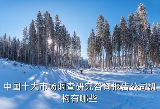 中國十大市場調查研究咨詢報告公司機構有哪些