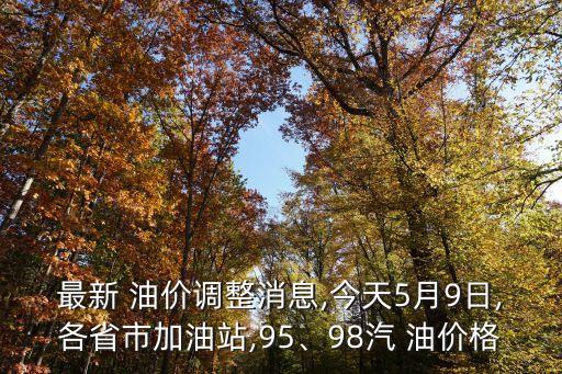 最新 油價(jià)調(diào)整消息,今天5月9日,各省市加油站,95、98汽 油價(jià)格