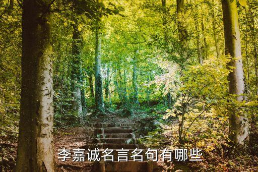 李嘉誠(chéng)語錄投資
