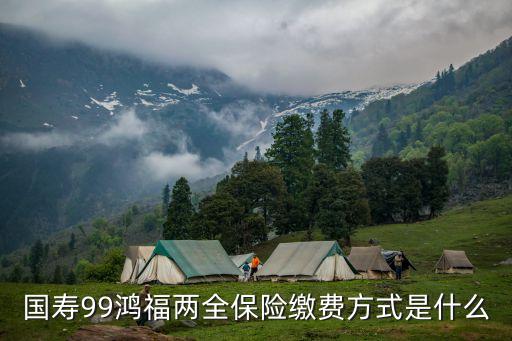 國壽99鴻福兩全保險(xiǎn)繳費(fèi)方式是什么
