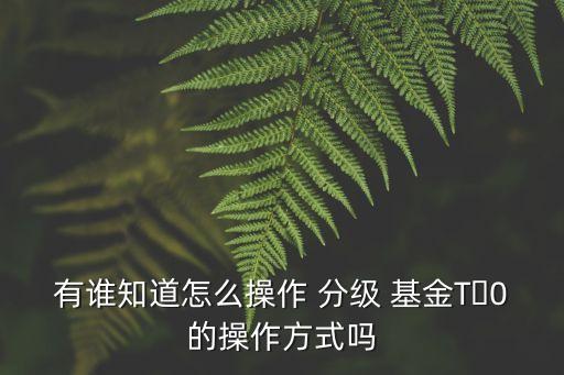 分級(jí)基金合并贖回