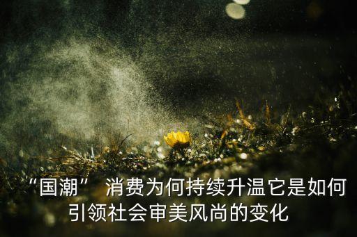 “國潮” 消費(fèi)為何持續(xù)升溫它是如何引領(lǐng)社會(huì)審美風(fēng)尚的變化