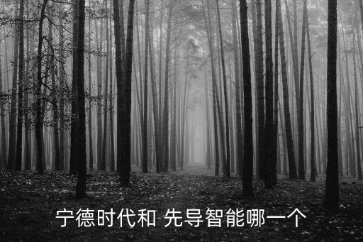 與先導(dǎo)競(jìng)爭(zhēng)的日韓公司