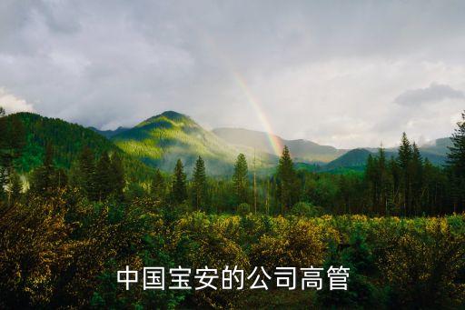 中國寶安的公司高管