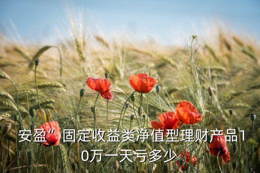  安盈”固定收益類凈值型理財產品10萬一天虧多少
