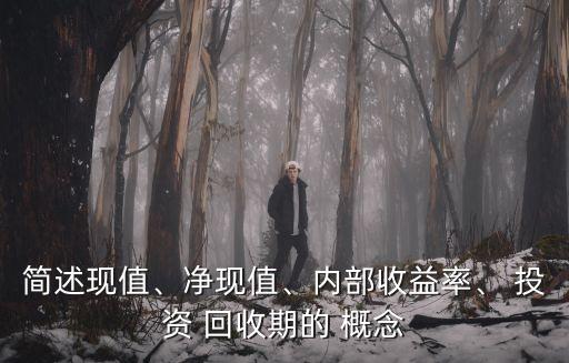 簡述現(xiàn)值、凈現(xiàn)值、內部收益率、 投資 回收期的 概念