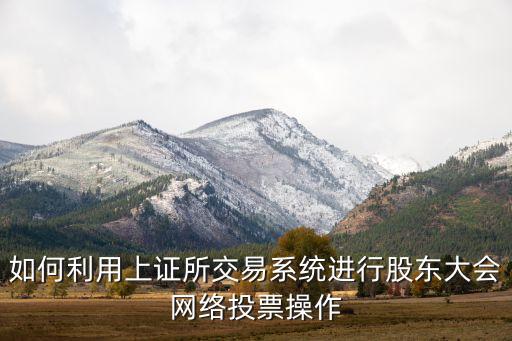 如何利用上證所交易系統(tǒng)進行股東大會網(wǎng)絡投票操作