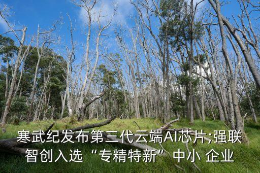 寒武紀(jì)發(fā)布第三代云端AI芯片;強聯(lián)智創(chuàng)入選“專精特新”中小 企業(yè)
