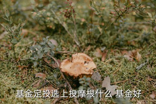 000887基金,東方財富網(wǎng)000887