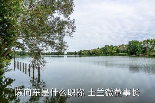 陳向東是什么職稱 士蘭微董事長