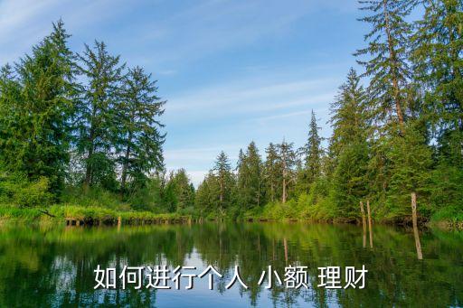 如何進行個人 小額 理財