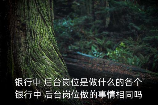  銀行中 后臺崗位是做什么的各個(gè) 銀行中 后臺崗位做的事情相同嗎