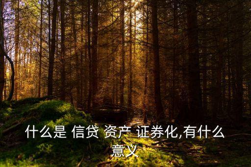 什么是 信貸 資產 證券化,有什么意義