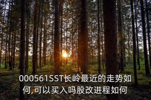 000561SST長嶺最近的走勢如何,可以買入嗎股改進(jìn)程如何