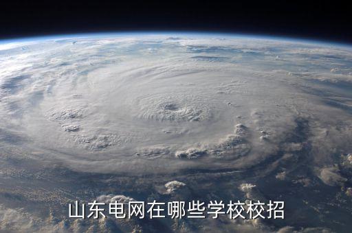 山東電網在哪些學校校招