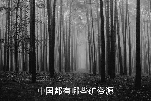中國進口鐵礦石的價格,澳大利亞進口鐵礦石價格