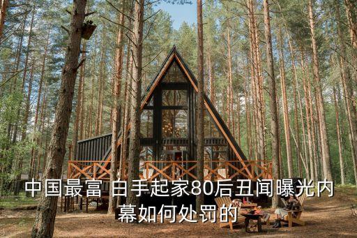 中國最富 白手起家80后丑聞曝光內(nèi)幕如何處罰的