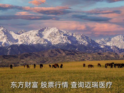 東方財(cái)富 股票行情 查詢邁瑞醫(yī)療