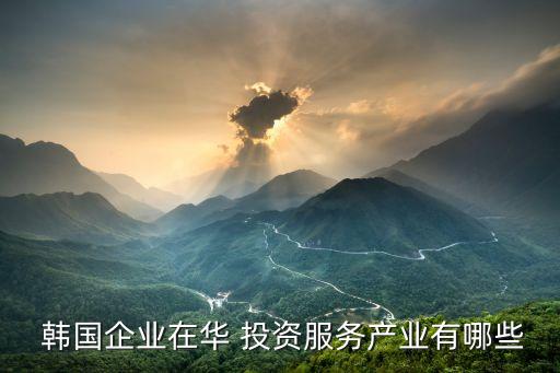  韓國(guó)企業(yè)在華 投資服務(wù)產(chǎn)業(yè)有哪些