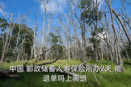 中國 郵政儲(chǔ)蓄人壽保險(xiǎn)剛辦2天,能退單嗎上哪退