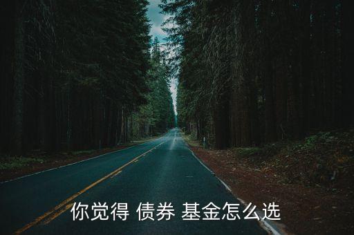 你覺(jué)得 債券 基金怎么選