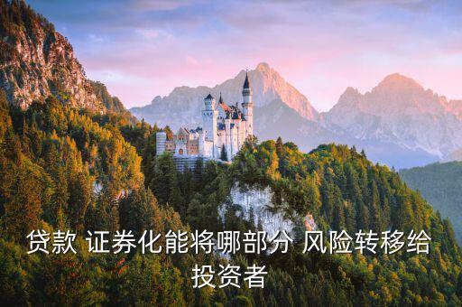 貸款 證券化能將哪部分 風險轉移給投資者
