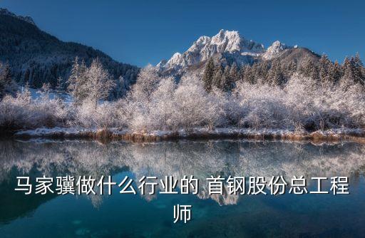 首鋼總公司現任領導,首鋼現任領導胡雄光