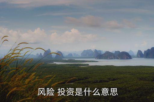 風(fēng)險投資對互聯(lián)網(wǎng)的影響,機構(gòu)投資者對風(fēng)險投資的影響