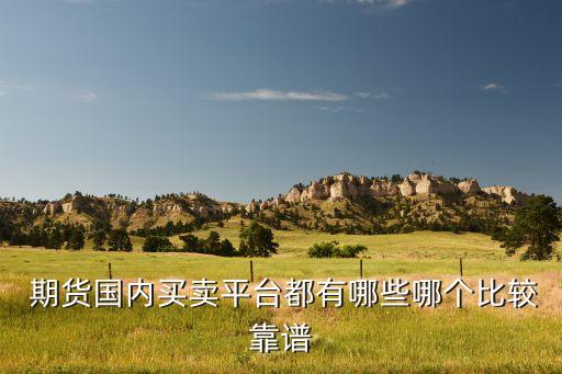  期貨國(guó)內(nèi)買(mǎi)賣(mài)平臺(tái)都有哪些哪個(gè)比較靠譜