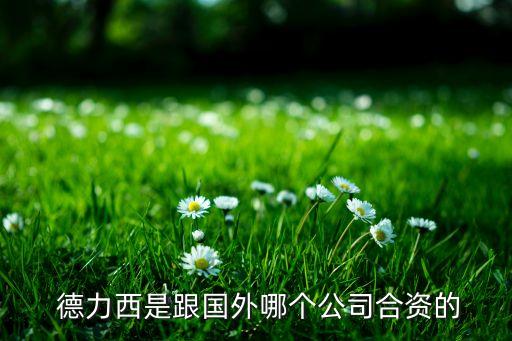  德力西是跟國外哪個(gè)公司合資的
