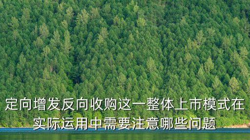 定向增發(fā)反向收購這一整體上市模式在實際運用中需要注意哪些問題