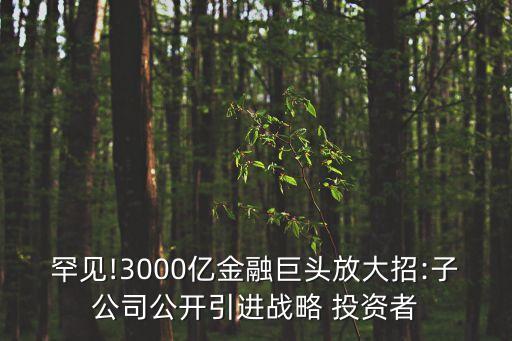 罕見(jiàn)!3000億金融巨頭放大招:子公司公開(kāi)引進(jìn)戰(zhàn)略 投資者