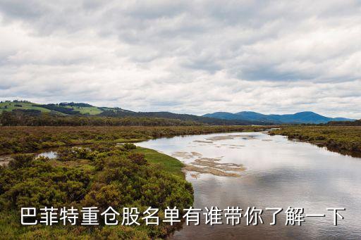 巴菲特何時(shí)買(mǎi)入可口可樂(lè)股票