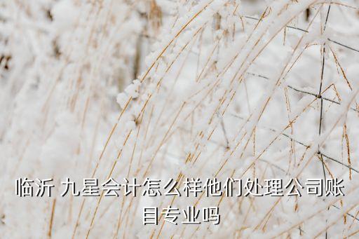 臨沂 九星會(huì)計(jì)怎么樣他們處理公司賬目專業(yè)嗎