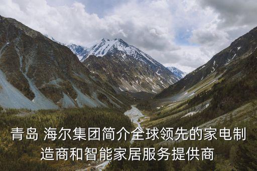 海爾集團(tuán)與哪個公司合作過