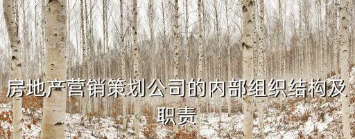 房地產營銷策劃公司的內部組織結構及職責