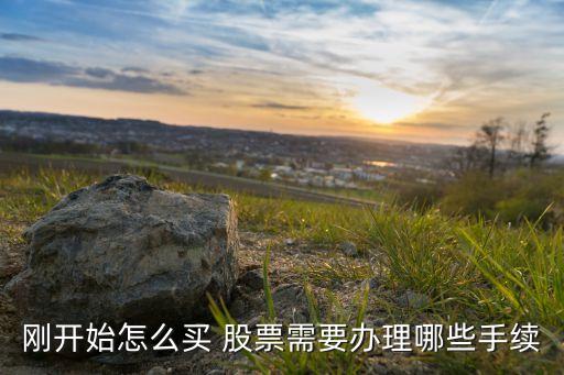 剛開(kāi)始怎么買 股票需要辦理哪些手續(xù)