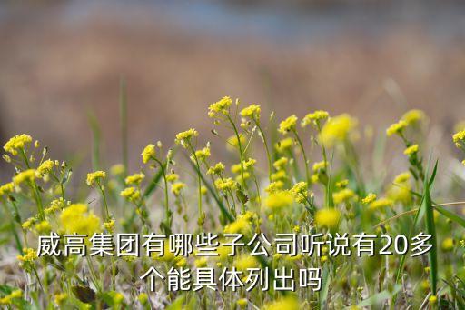 威海威高集團和莆田健康產(chǎn)業(yè)