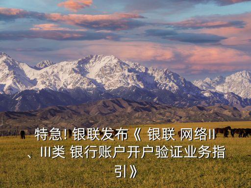 特急! 銀聯(lián)發(fā)布《 銀聯(lián) 網(wǎng)絡(luò)II、III類 銀行賬戶開戶驗(yàn)證業(yè)務(wù)指引》