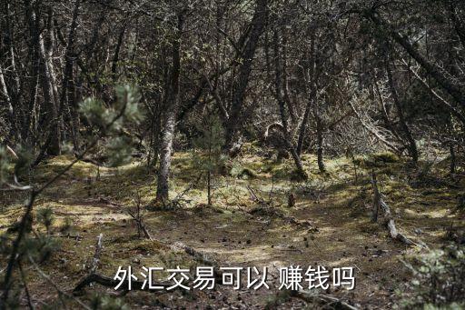  外匯交易可以 賺錢(qián)嗎