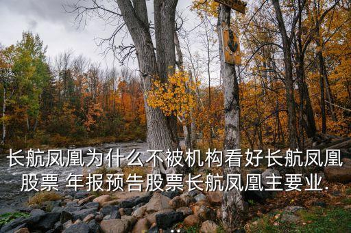 長航鳳凰為什么不被機構看好長航鳳凰股票 年報預告股票長航鳳凰主要業(yè)...