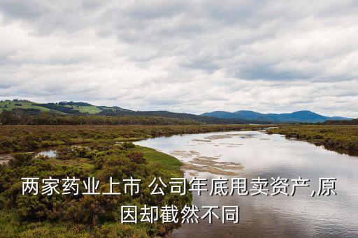 兩家藥業(yè)上市 公司年底甩賣資產(chǎn),原因卻截然不同