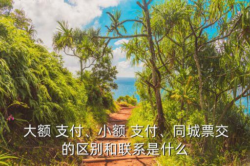  大額 支付、小額 支付、同城票交的區(qū)別和聯(lián)系是什么