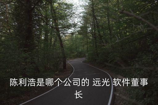 陳利浩是哪個(gè)公司的 遠(yuǎn)光 軟件董事長