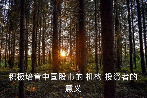 中國機構投資者