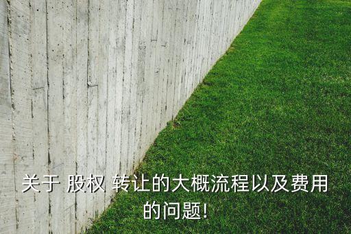 關(guān)于 股權(quán) 轉(zhuǎn)讓的大概流程以及費(fèi)用的問(wèn)題!