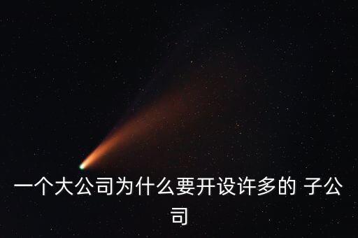 一個(gè)大公司為什么要開設(shè)許多的 子公司